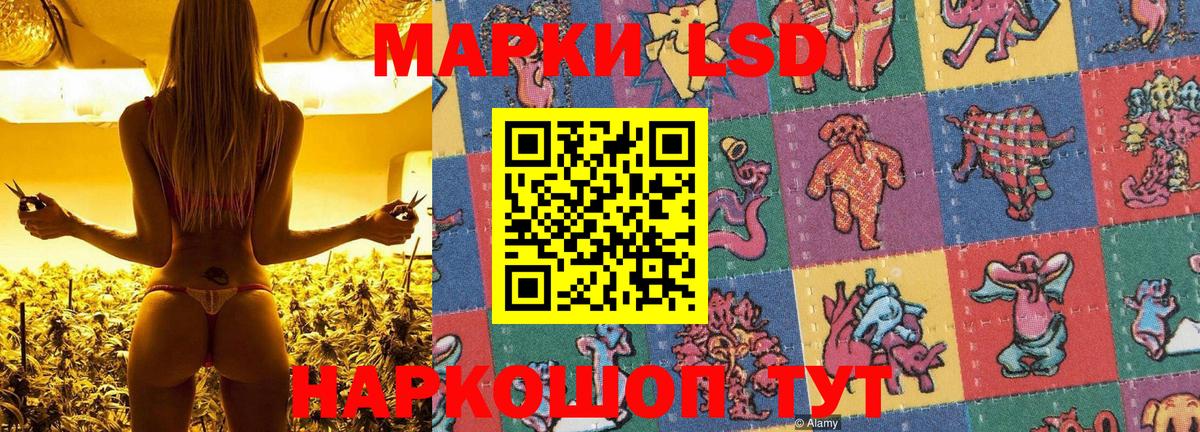 Гашиш  МДМА  А ПВП СК кристаллы  Каменка  МЕФ   ЭКСТАЗИ  Канабис  Вход с VPN 