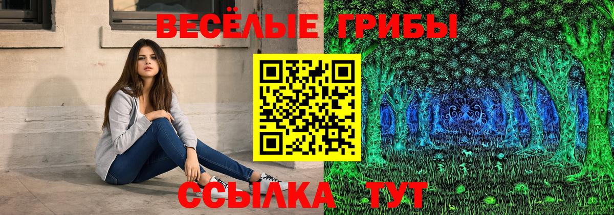 цены   Псилоцибиновые грибы мухоморы  Вход с VPN  Каменка 