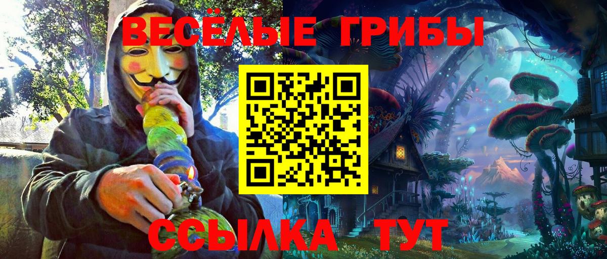 Псилоцибиновые грибы GOLDEN TEACHER Каменка